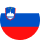 Slovenia flag